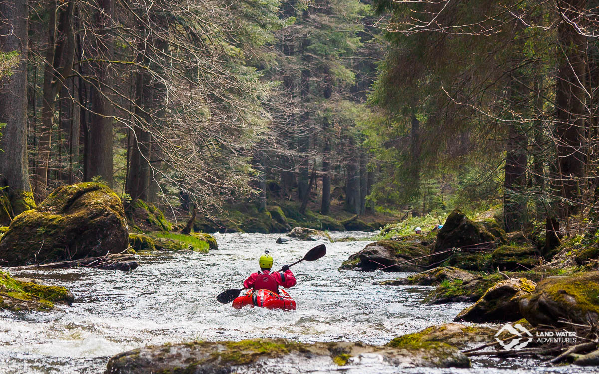 Multiday Advanced BayerWald
