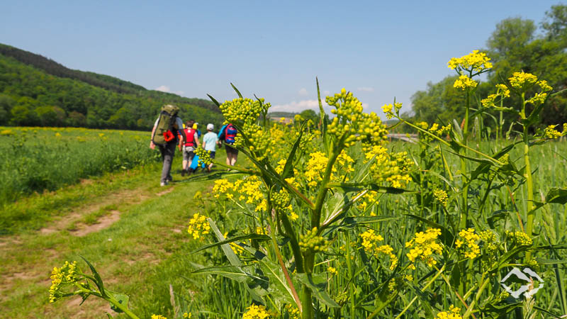 LWA Packrafting Tageskurse Nahe